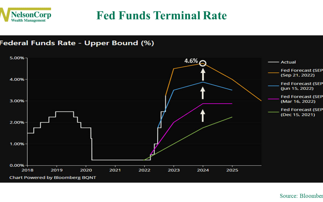 Fun With the Fed