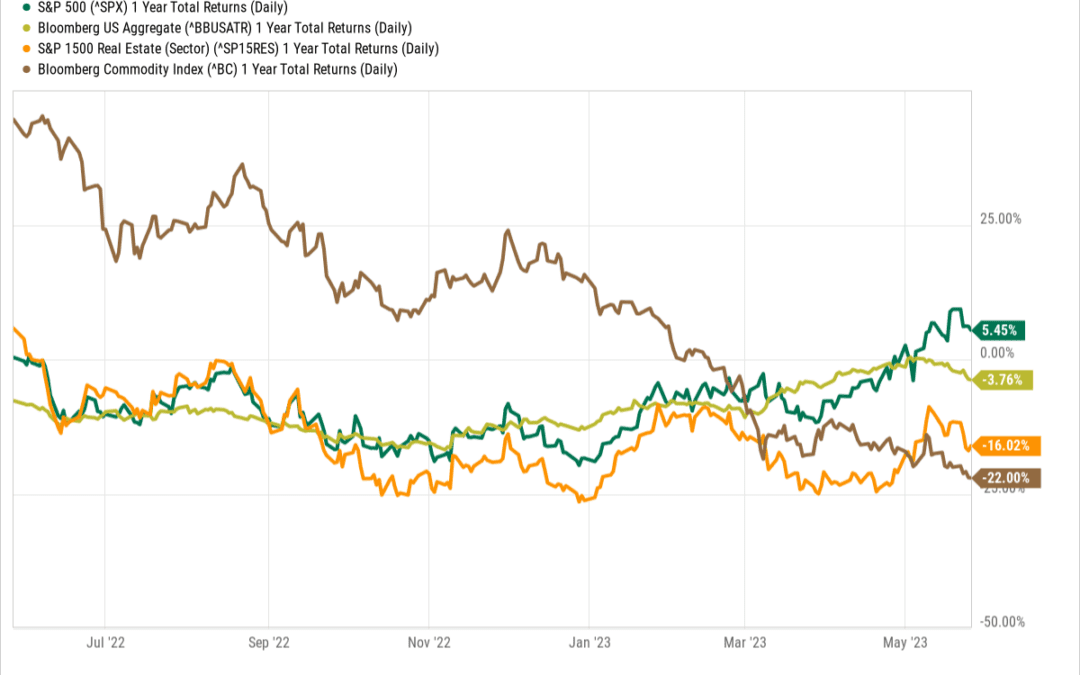 Positive Momentum Tempered by Excessive Optimism